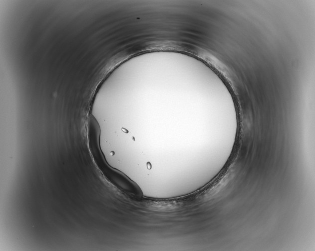 X0000096651049200802261316