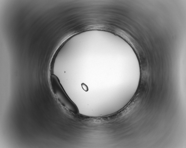 X0000096651050200802261316