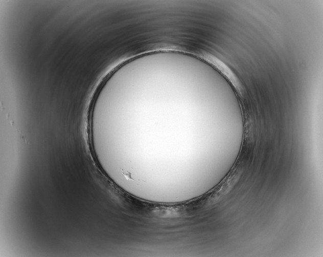 X0000096651051200802261316