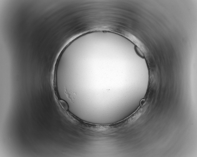 X0000096651052200802261316