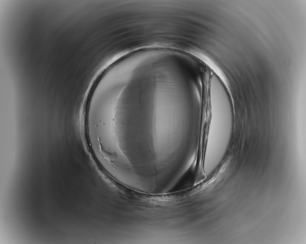 X0000096651053200802261316