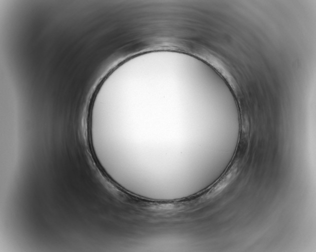 X0000096651054200802261316