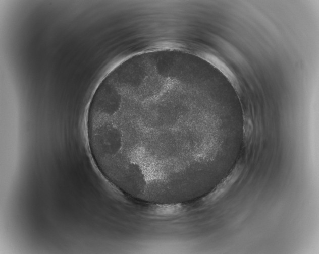 X0000096651055200802261316