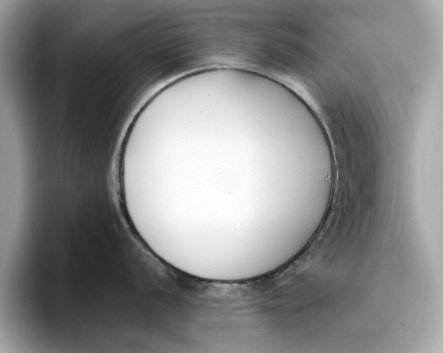 X0000096651056200802261316