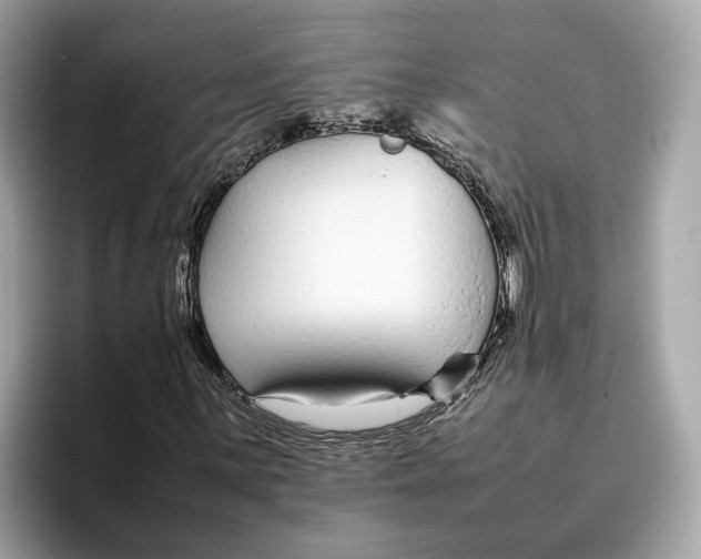 X0000096651059200802261315