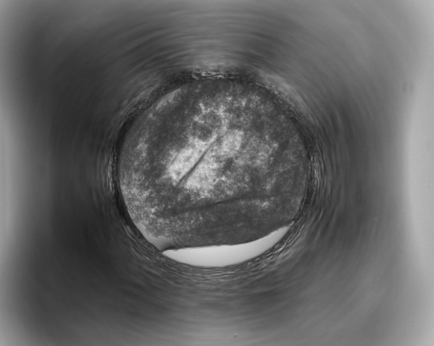 X0000096651060200802261315