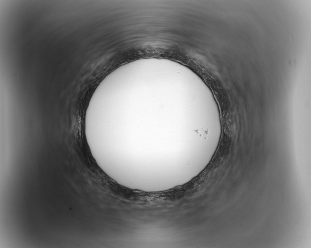 X0000096651061200802261315