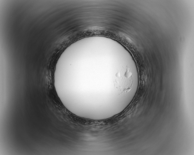 X0000096651062200802261315