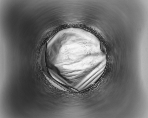 X0000096651063200802261315