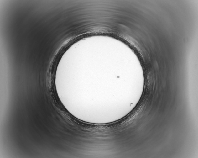 X0000096651067200802261315