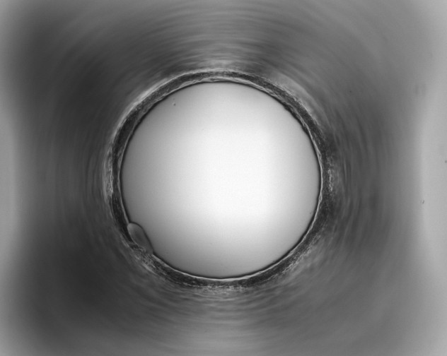 X0000096651069200802261315