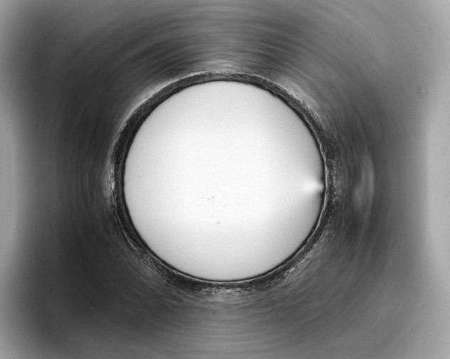 X0000096651070200802261315