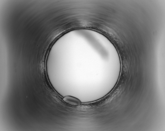 X0000096651073200802261315