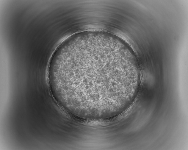 X0000096651074200802261315