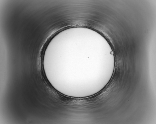 X0000096651075200802261315