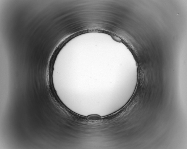 X0000096651076200802261315