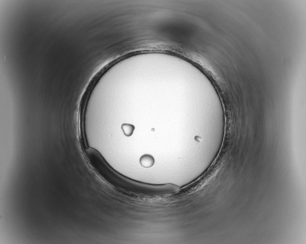 X0000096651079200802261315