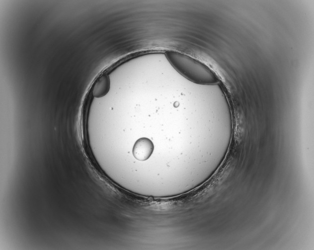 X0000096651080200802261315