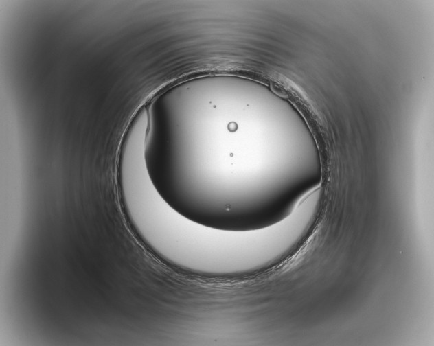 X0000096651081200802261315