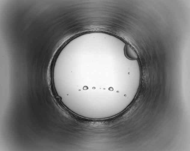 X0000096651082200802261315