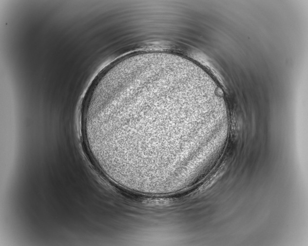 X0000096651083200802261315