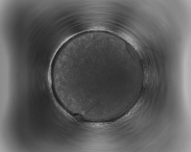 X0000096651084200802261315