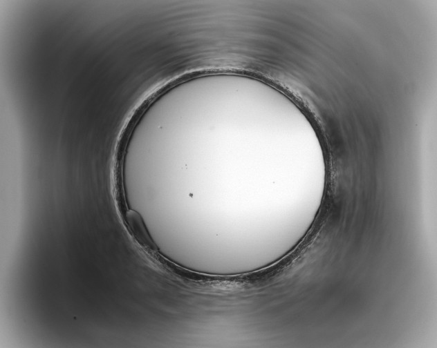 X0000096651085200802261315