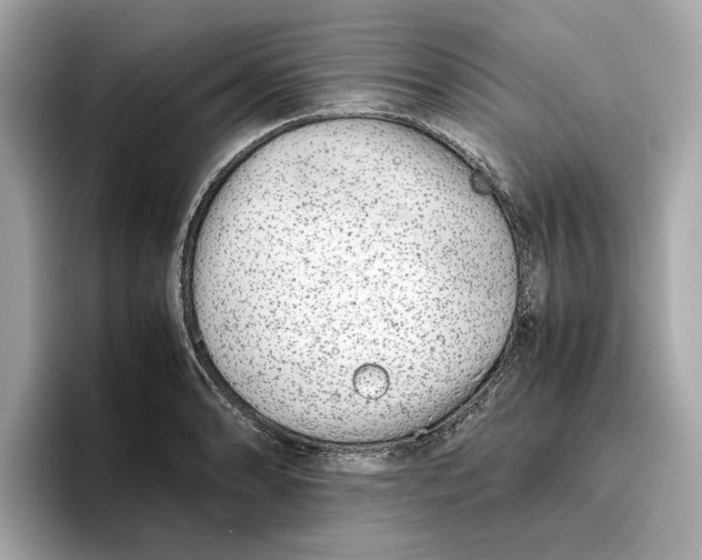 X0000096651086200802261315