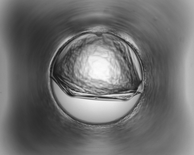 X0000096651087200802261315