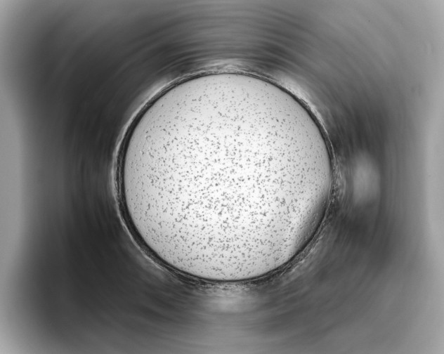 X0000096651090200802261315