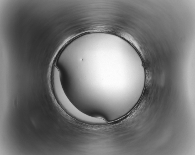 X0000096651091200802261315