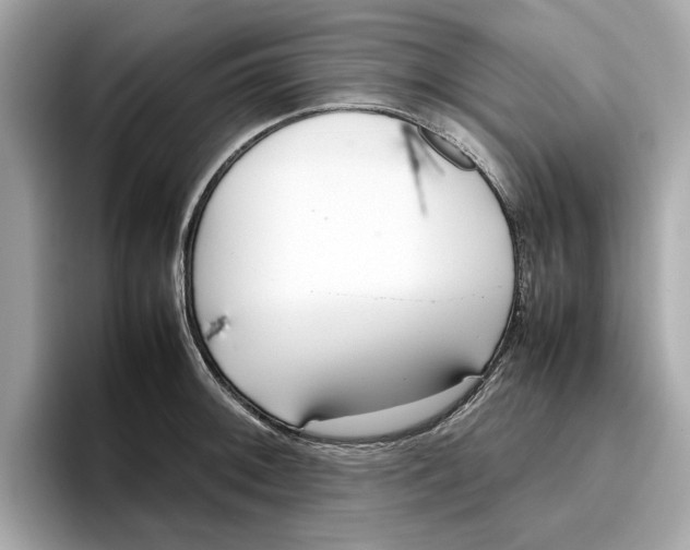 X0000096651092200802261315