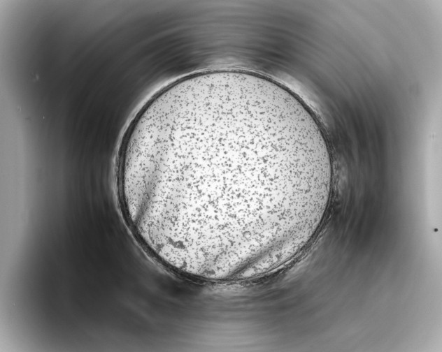 X0000096651094200802261315