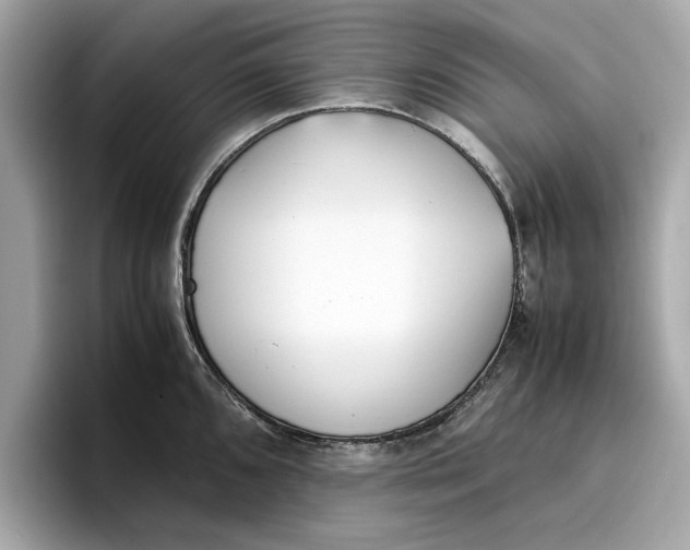 X0000096651096200802261315