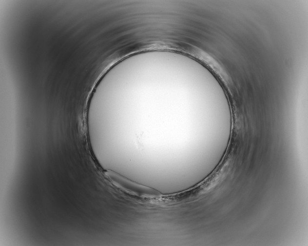 X0000096651097200802261315