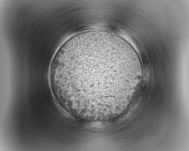 X0000096651098200802261315