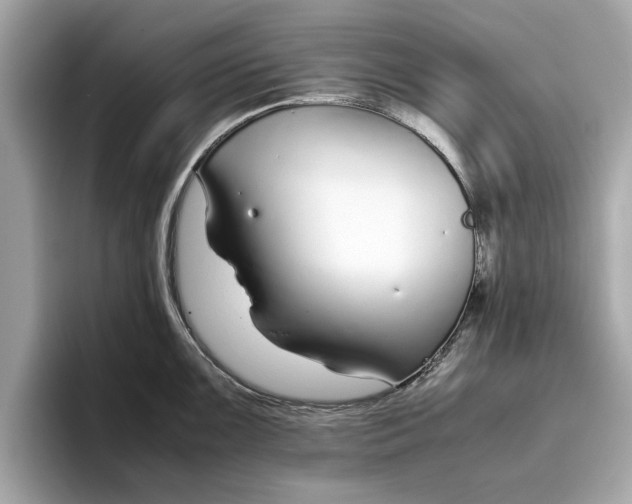 X0000096651099200802261315