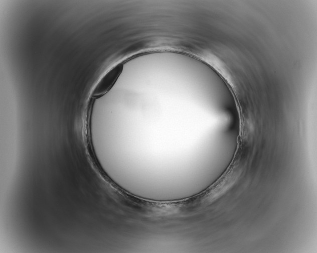 X0000096651101200802261315