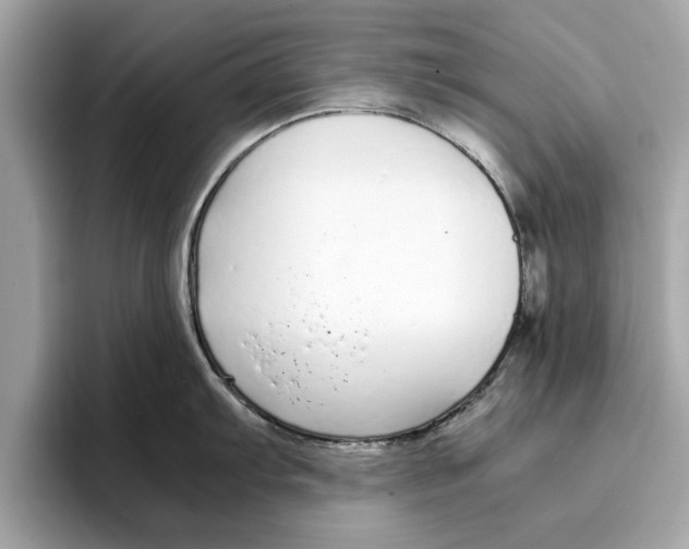 X0000096651103200802261315