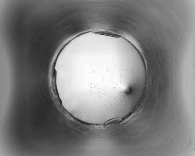 X0000096651104200802261315