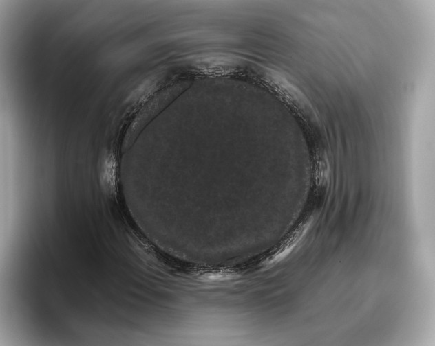 X0000096651108200802261314