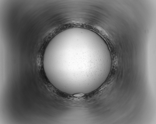 X0000096651110200802261314