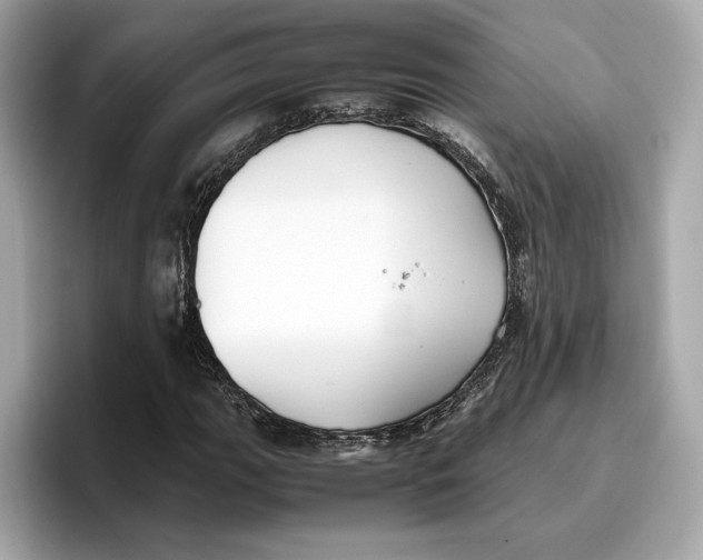 X0000096651111200802261314