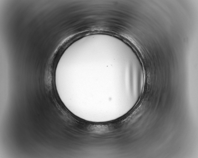 X0000096651115200802261314