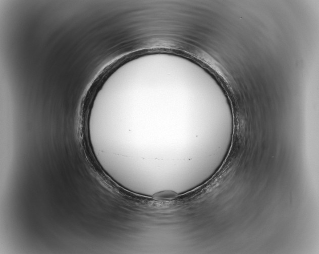 X0000096651116200802261314