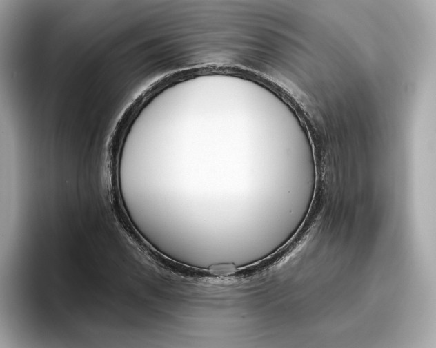 X0000096651118200802261314