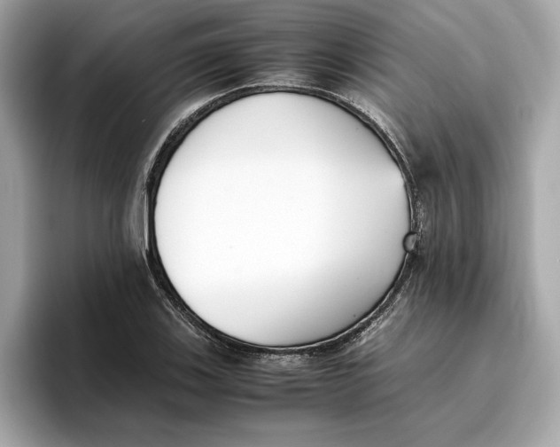 X0000096651123200802261314