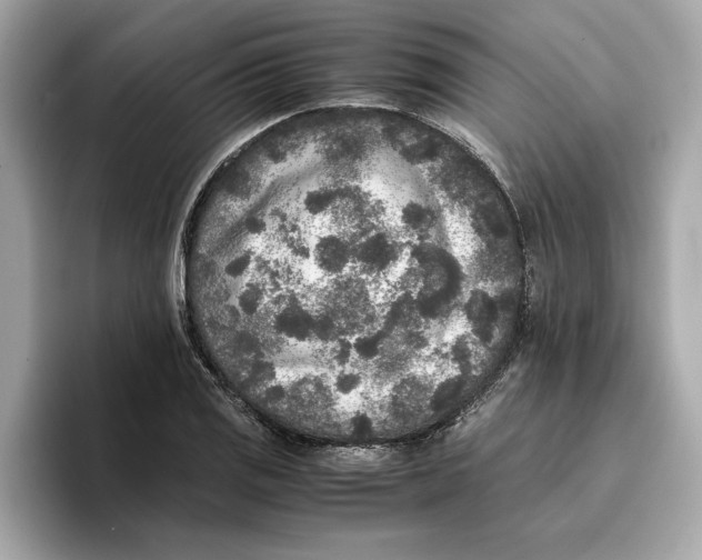 X0000096651125200802261314