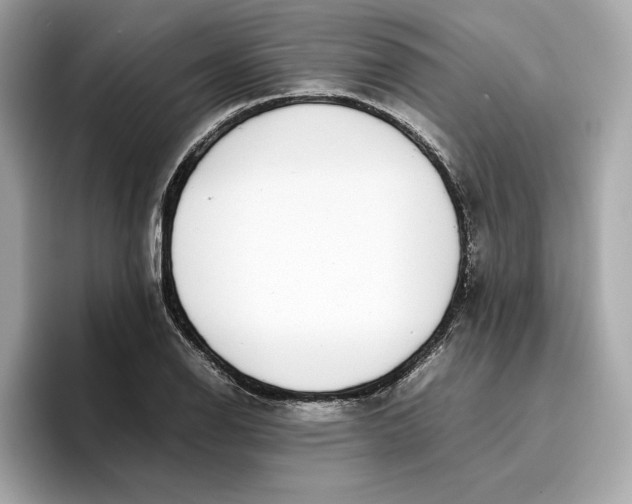 X0000096651126200802261314