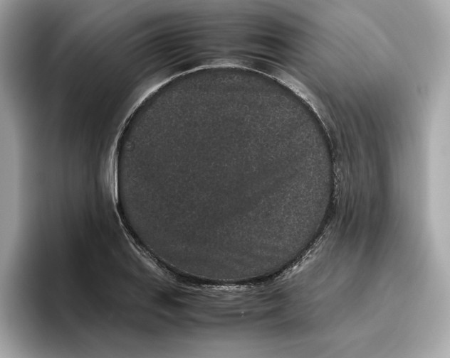 X0000096651127200802261314